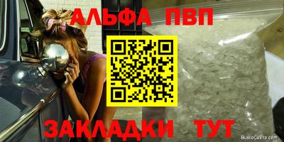 индика Сланцы