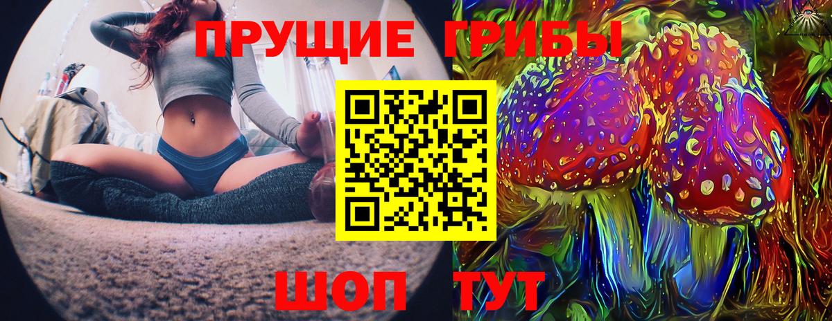 Ногинск  Псилоцибиновые грибы Psilocybe  Вход с VPN 